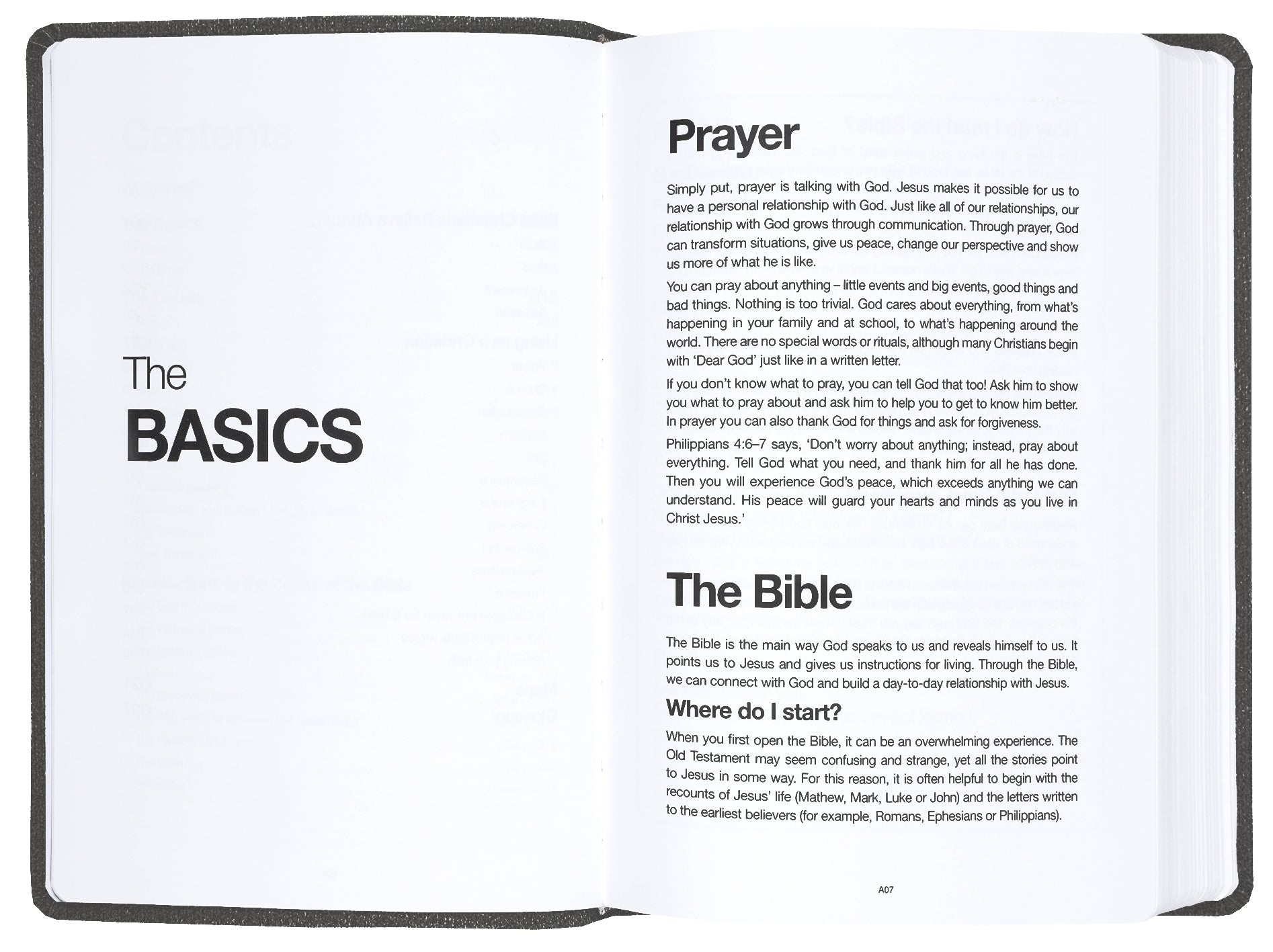 NLT Read This Bible (Anglicised) Vintage Brown