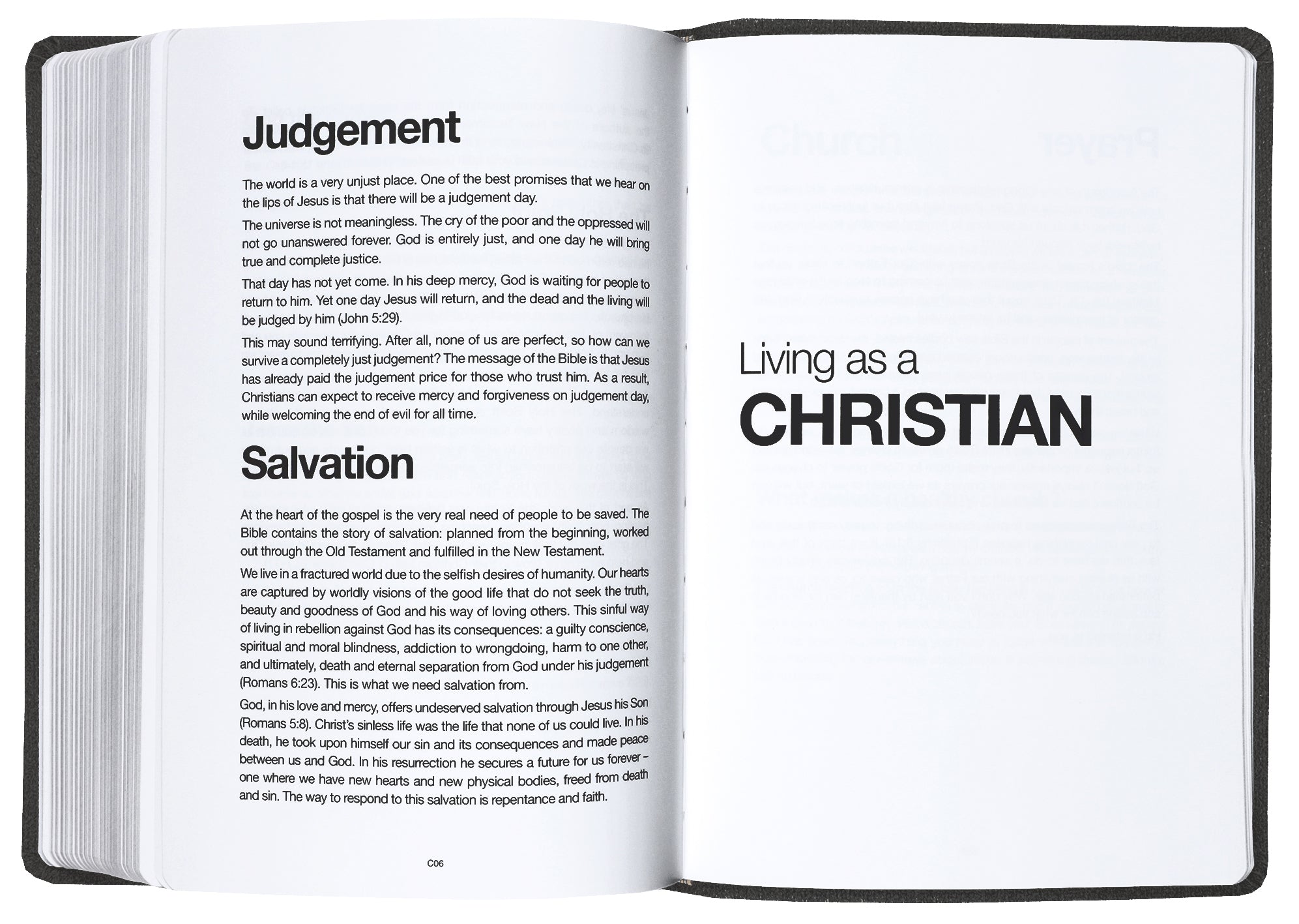 NLT Read This Bible (Anglicised) Vintage Brown