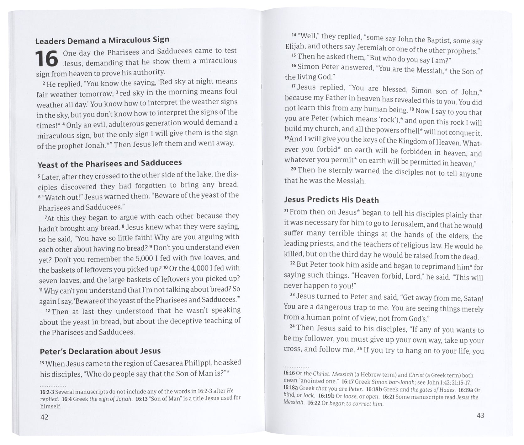 NLT Gospel of Matthew (Anglicised)