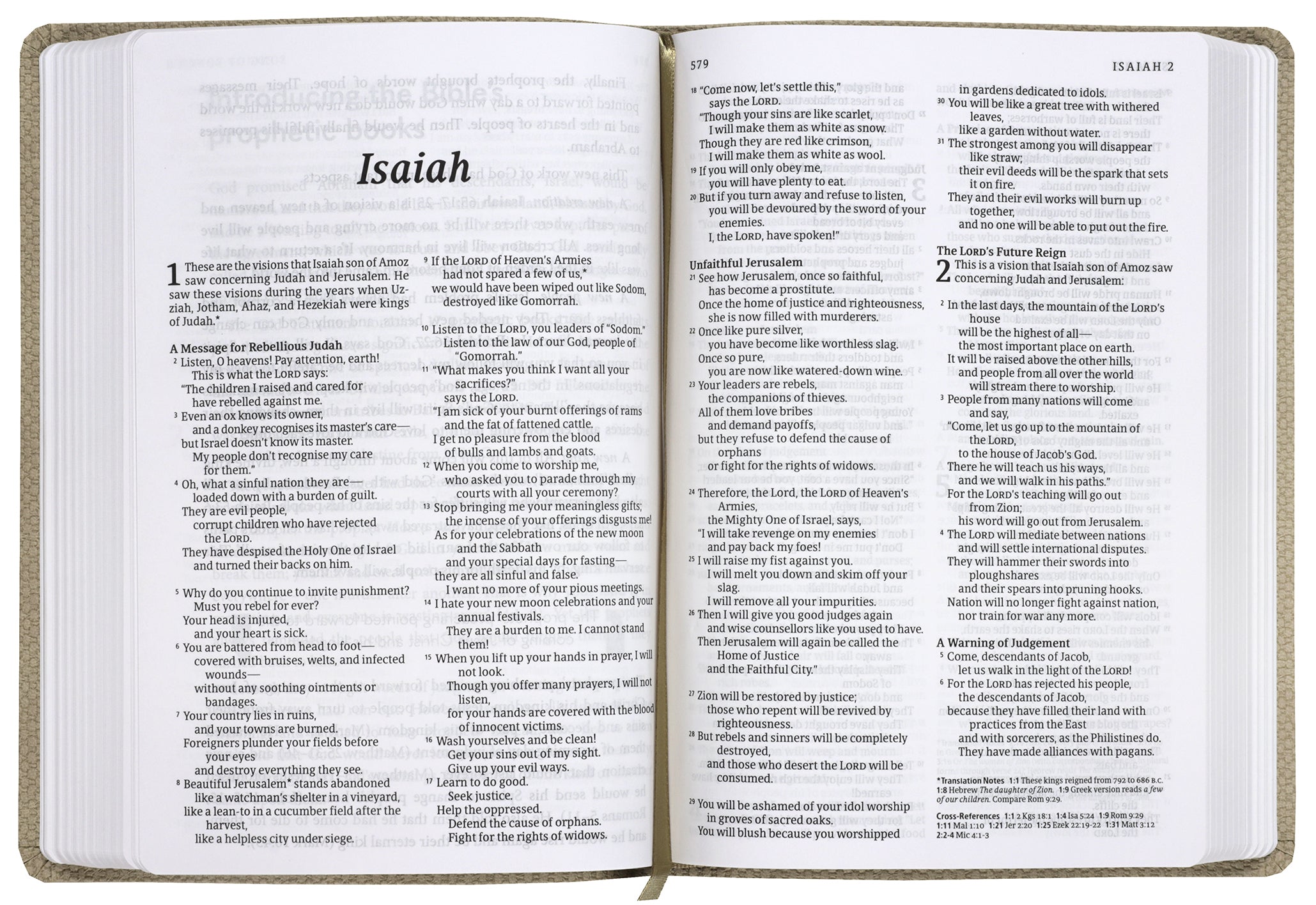 NLT New Beginnings Bible (Anglicised) Natural