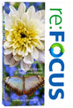 Re: Focus: Answering the Call to Fulfill Your Design