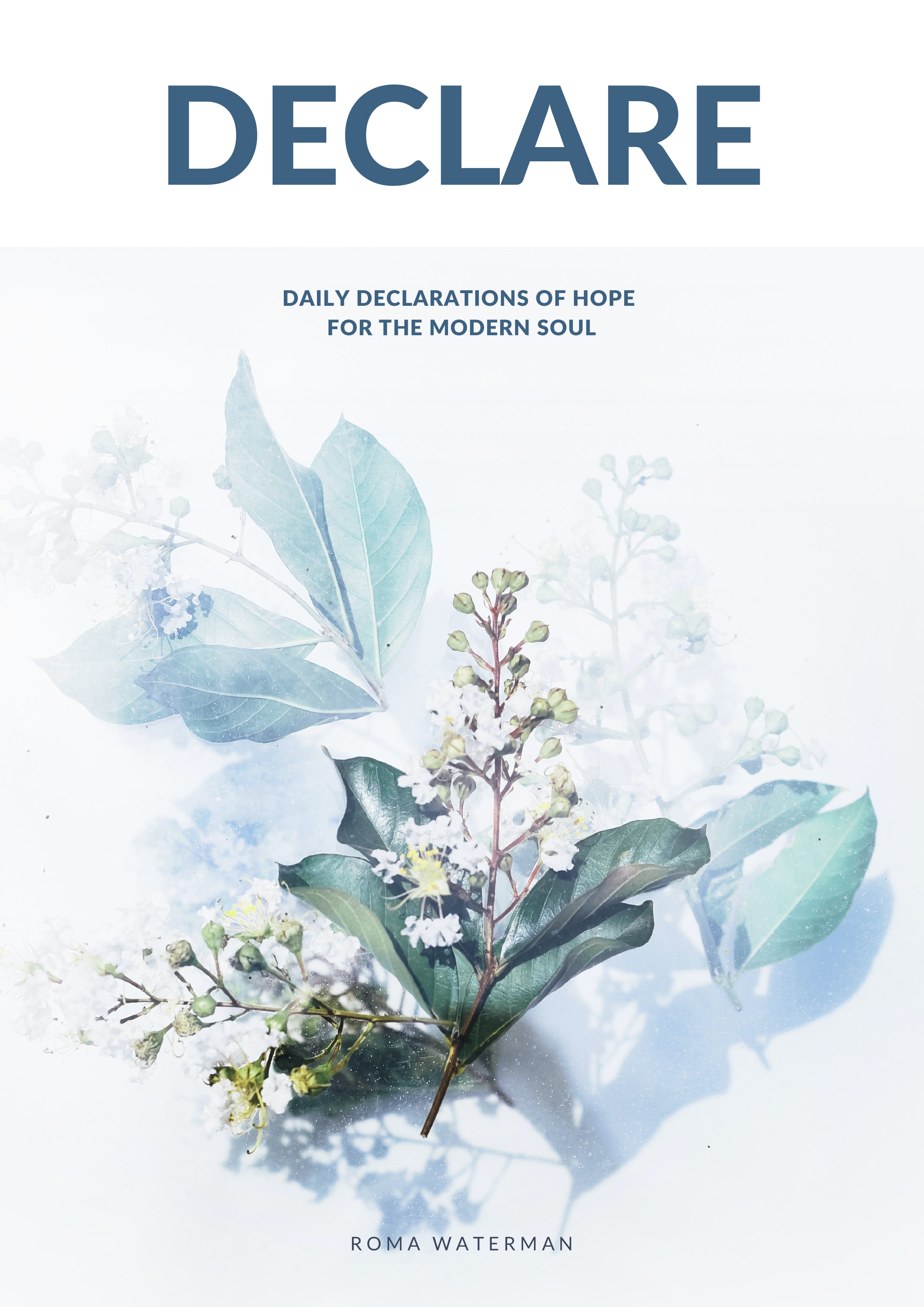 Declare: Daily Declarations of Hope For the Modern Soul