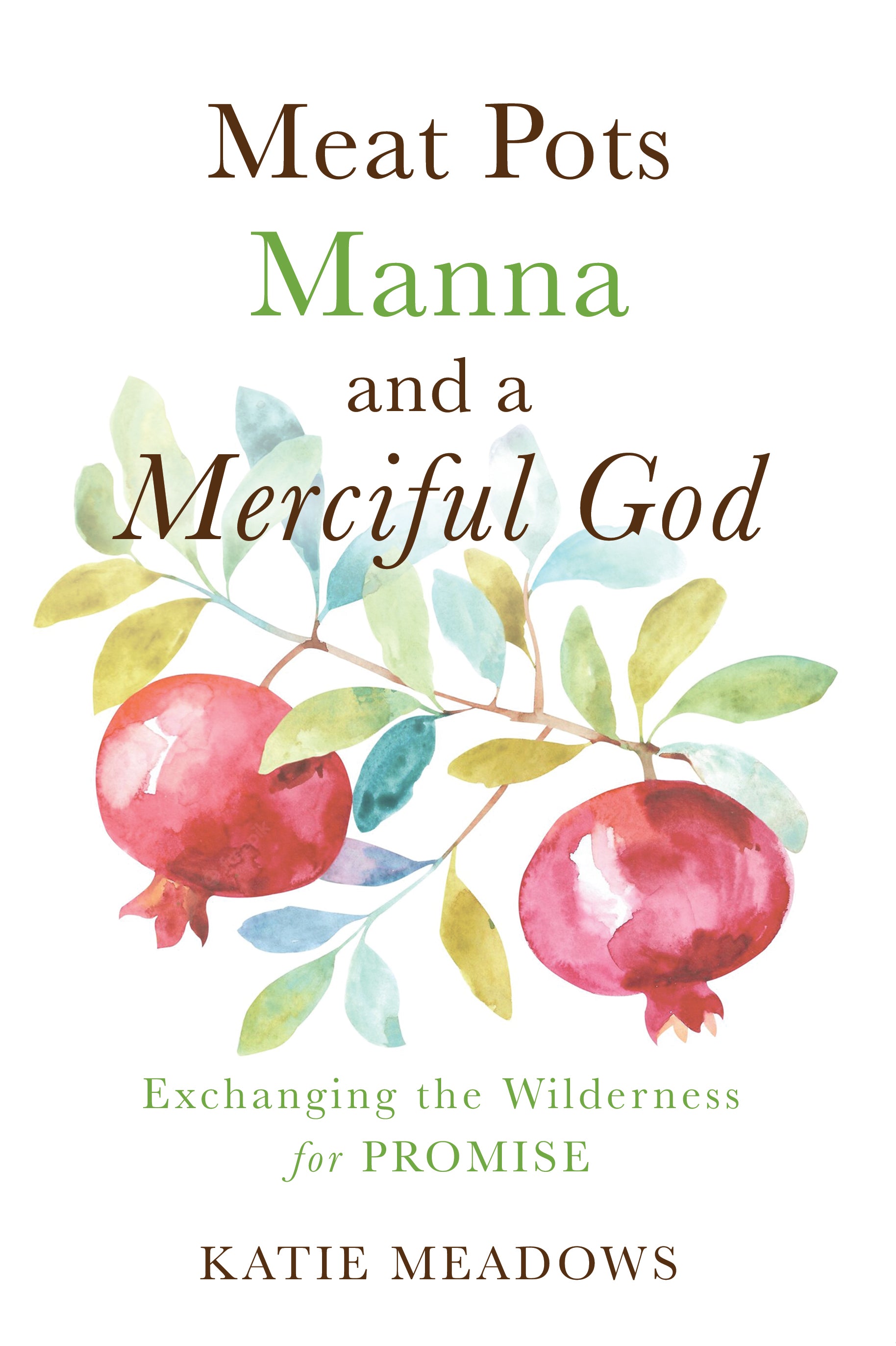 Meat Pots, Manna, and a Merciful God: Exchanging the Wilderness For Promise