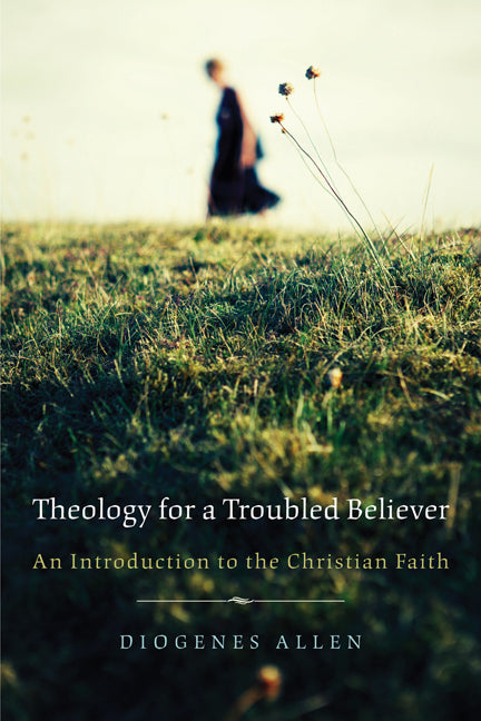 Theology For a Troubled Believer