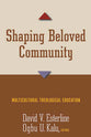 Shaping Beloved Community