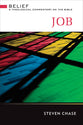 Job (Belief: Theological Commentary On The Bible Series)