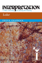 Luke (Interpretation Bible Commentaries Series)