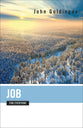 Job For Everyone (Old Testament Guide For Everyone Series)