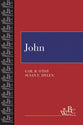 John (Westminster Bible Companion Series)