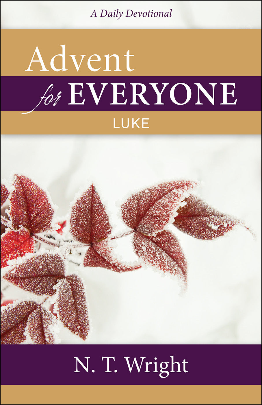 Advent For Everyone: Luke: A Daily Devotional