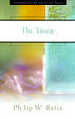 The Trinity (Foundations Of Christian Faith Series)