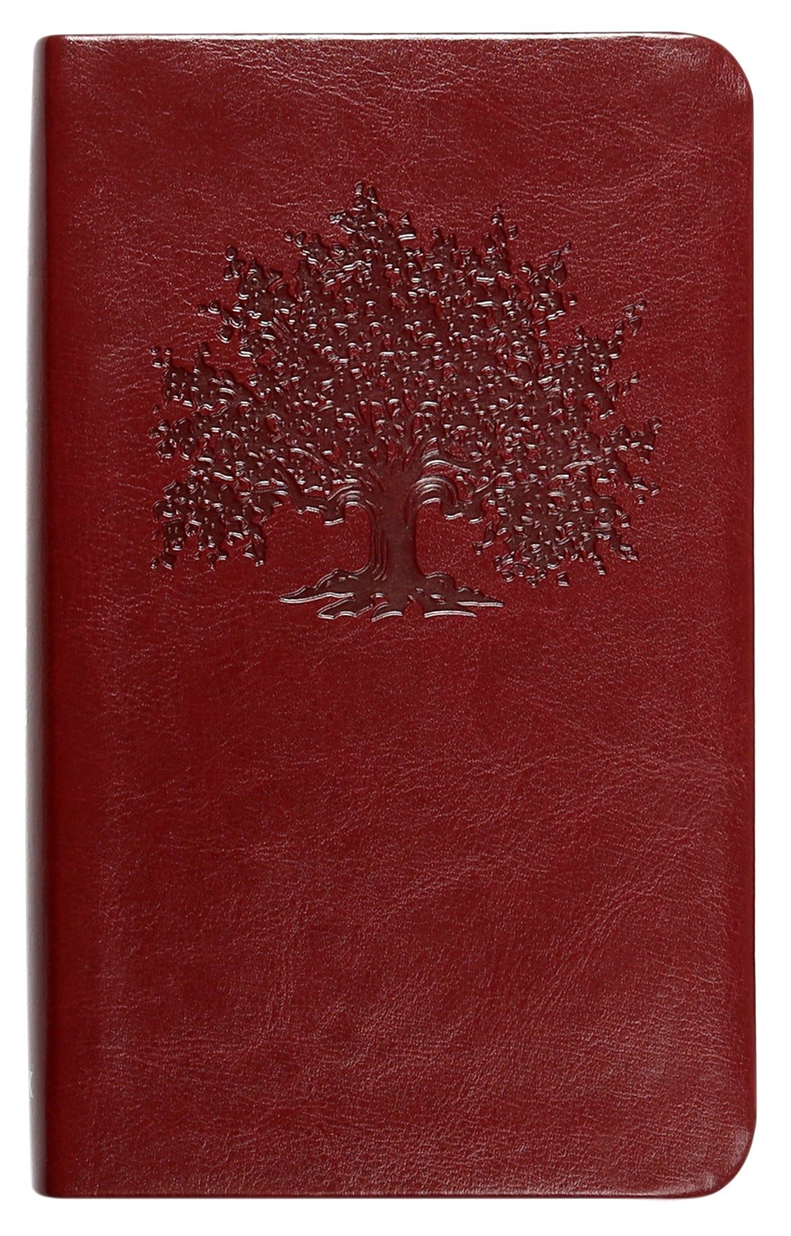 Book of Common Worship: Daily Prayer