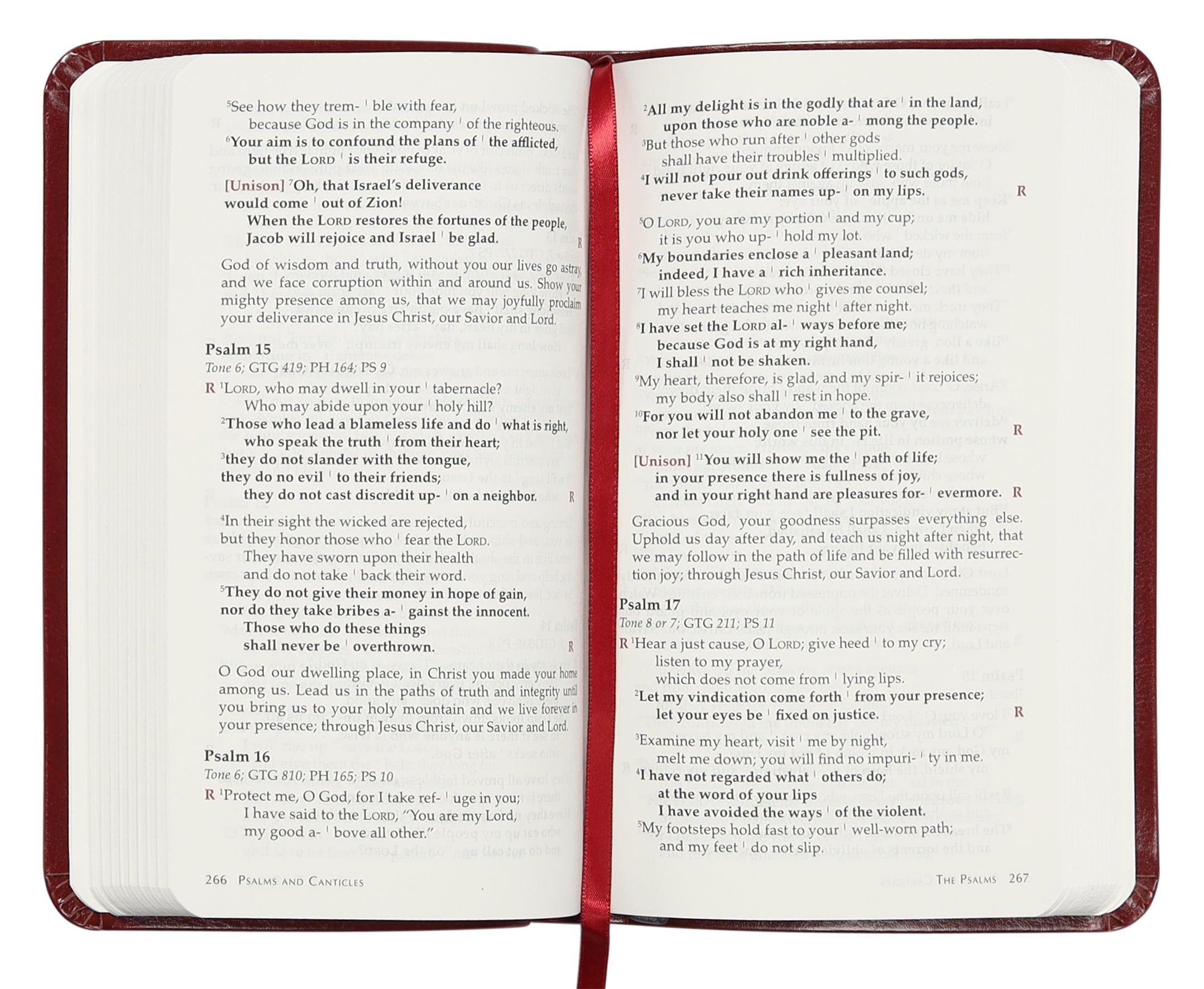 Book of Common Worship: Daily Prayer