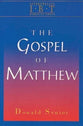 The Gospel of Matthew (Interpreting Biblical Texts Series)