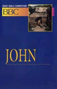 John (#20 in Basic Bible Commentary Series)