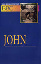 John (#20 in Basic Bible Commentary Series)