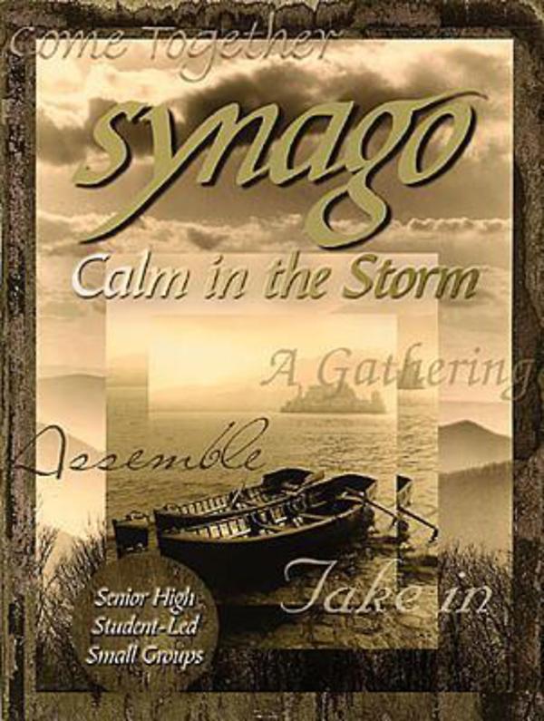 Calm in the Storm (Leader Guide) (Synago Small-group Resources Series)