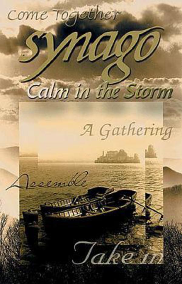 Calm in the Storm (Student Book) (Synago Small-group Resources Series)