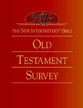 New Interpreter's Bible Old Testament Survey