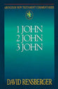 1 John, 2 John, 3 John (Abingdon New Testament Commentaries Series)