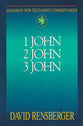 1 John, 2 John, 3 John (Abingdon New Testament Commentaries Series)