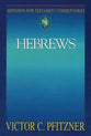 Hebrews (Abingdon New Testament Commentaries Series)