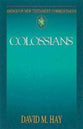 Colossians (Abingdon New Testament Commentaries Series)