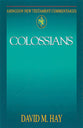 Colossians (Abingdon New Testament Commentaries Series)