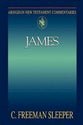 James (Abingdon New Testament Commentaries Series)