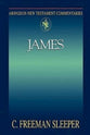 James (Abingdon New Testament Commentaries Series)
