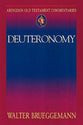 Deuteronomy (Abingdon Old Testament Commentaries Series)