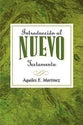 Introduccion Al Nuevo Testamento (Spanish)