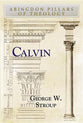 Calvin (Abingdon Pillars Of Theology Series)