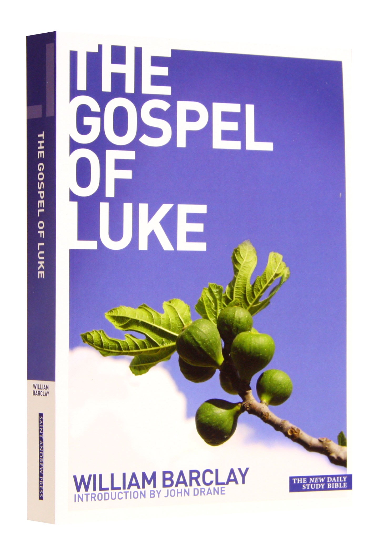 The Gospel of Luke (New Daily Study Bible Series)