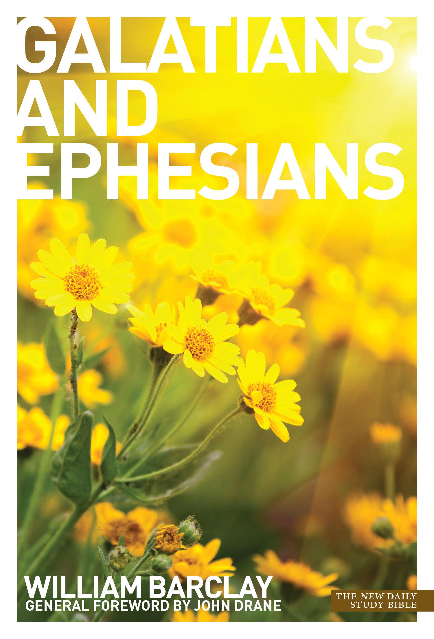 Letters to the Galatians & Ephesians (New Daily Study Bible Series)