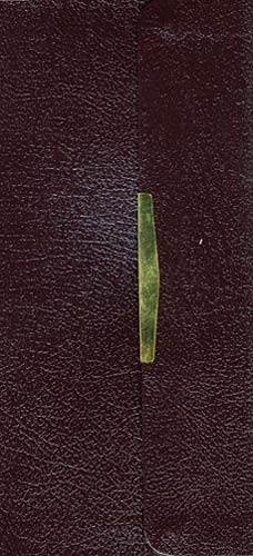 KJV Classic Checkbook Bible Burgundy Snap Flap