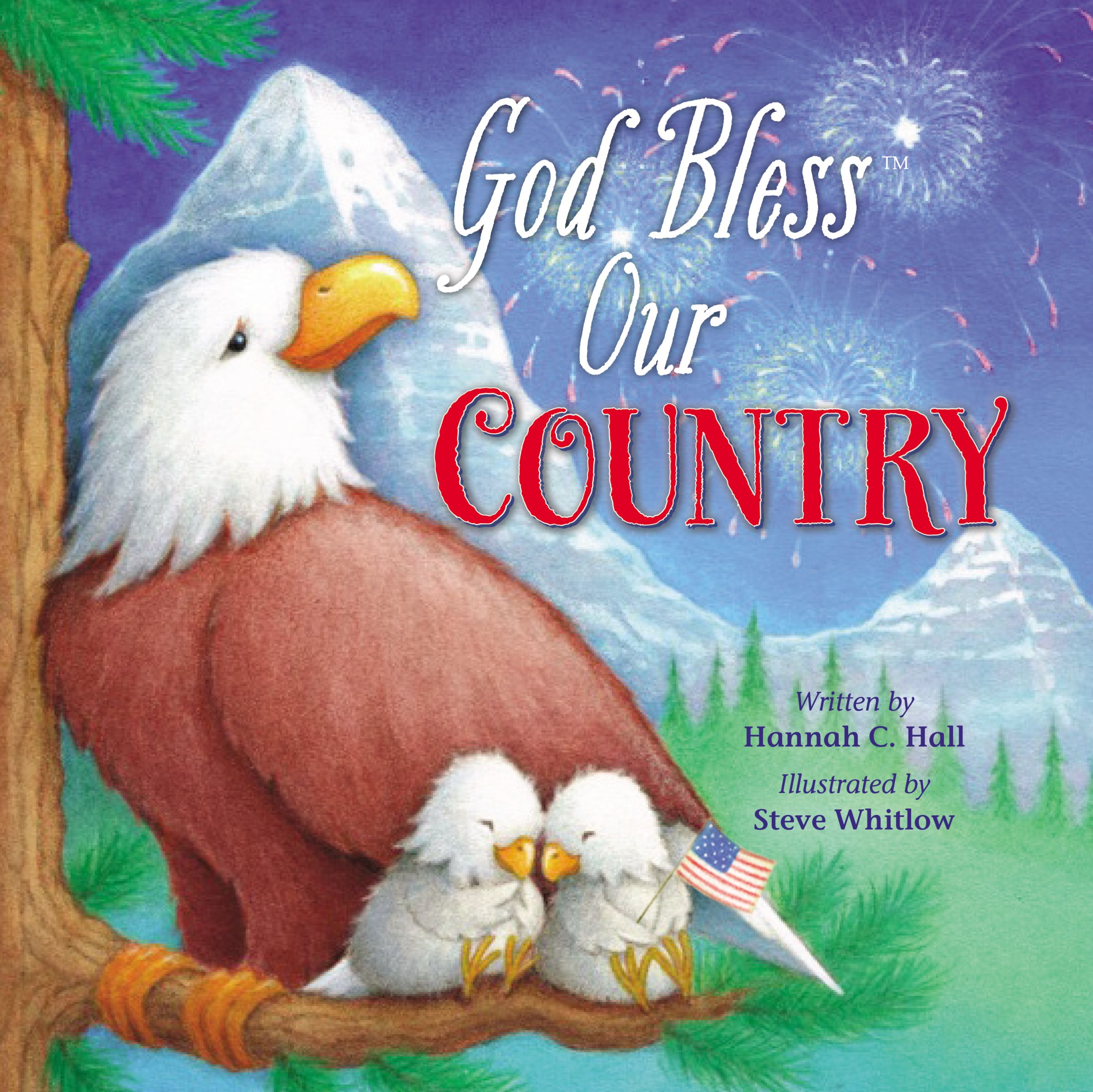 God Bless Our Country (A God Bless Book Series)