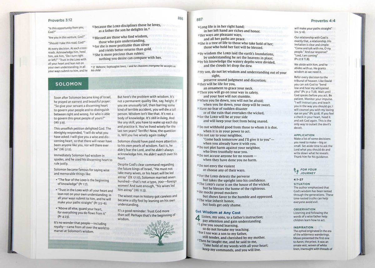 NIV Lucado Encouraging Word Bible Gray