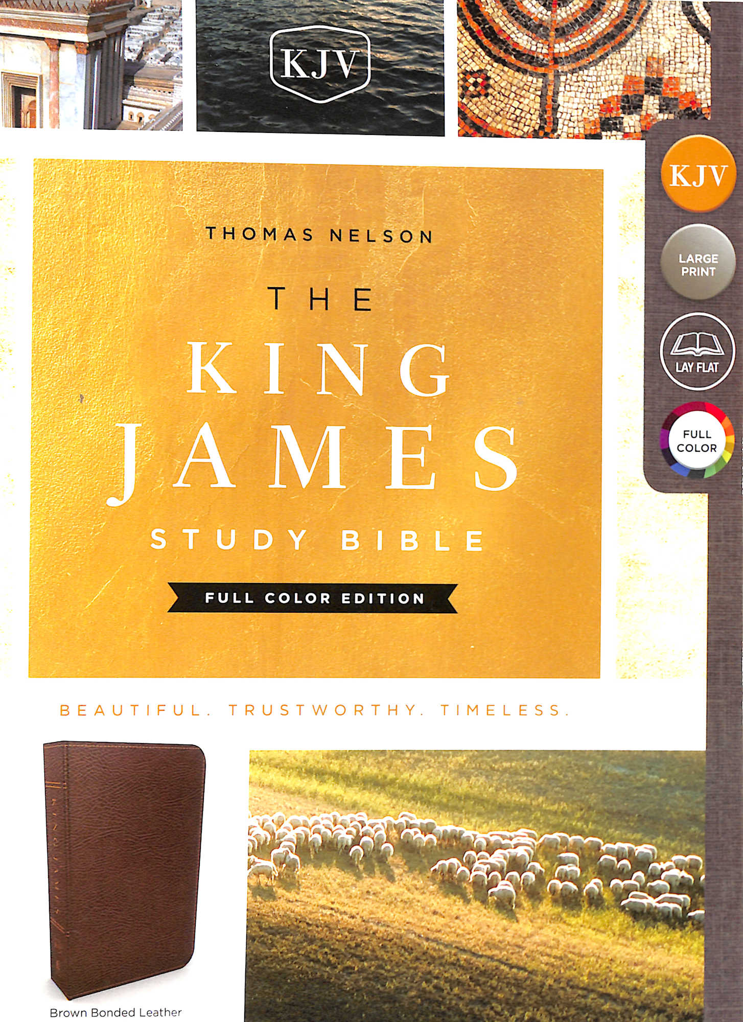 KJV Study Bible Brown Full-Color Edition (Red Letter Edition)