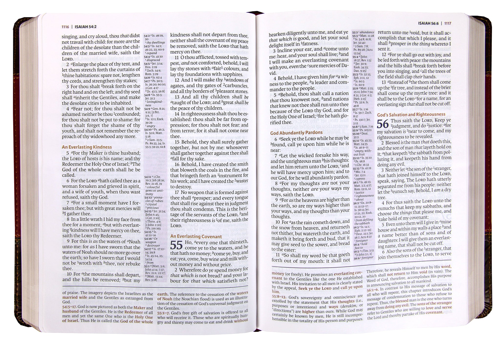 KJV Study Bible Burgundy Full-Color Edition (Red Letter Edition)