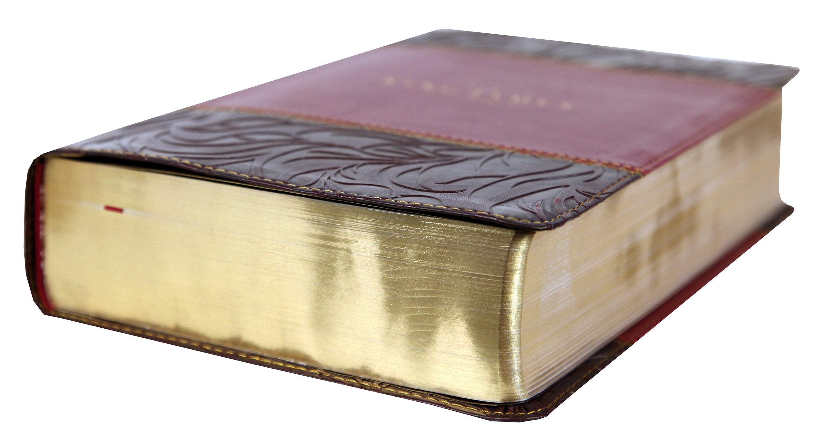 KJV Study Bible Burgundy Full-Color Edition (Red Letter Edition)