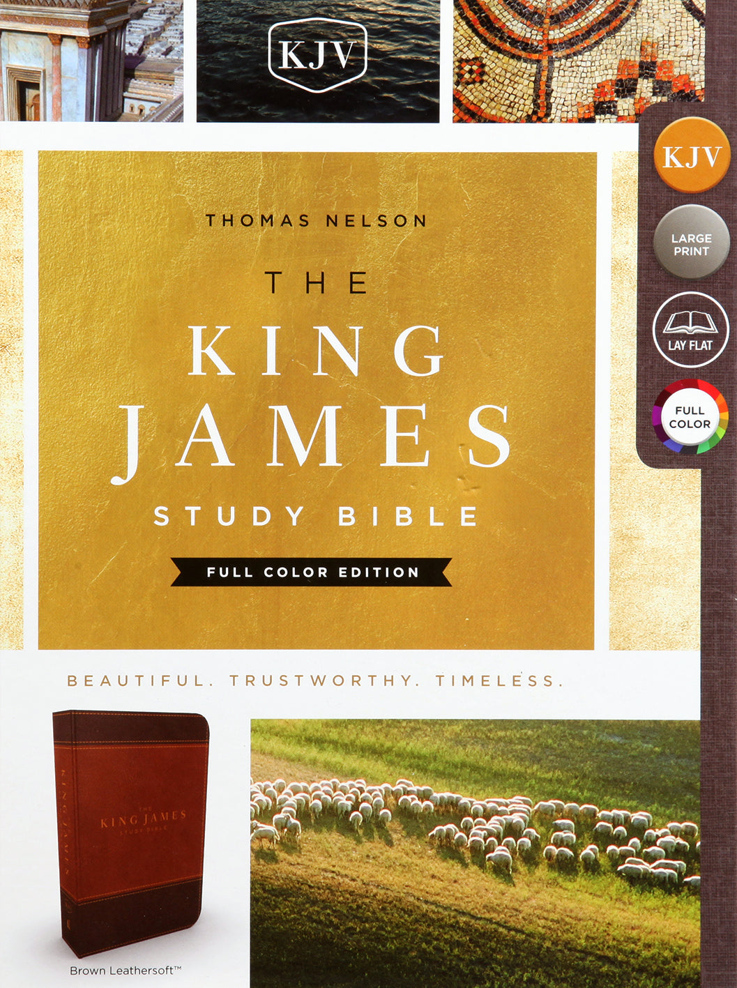 KJV Study Bible Brown Full-Color Edition (Red Letter Edition)