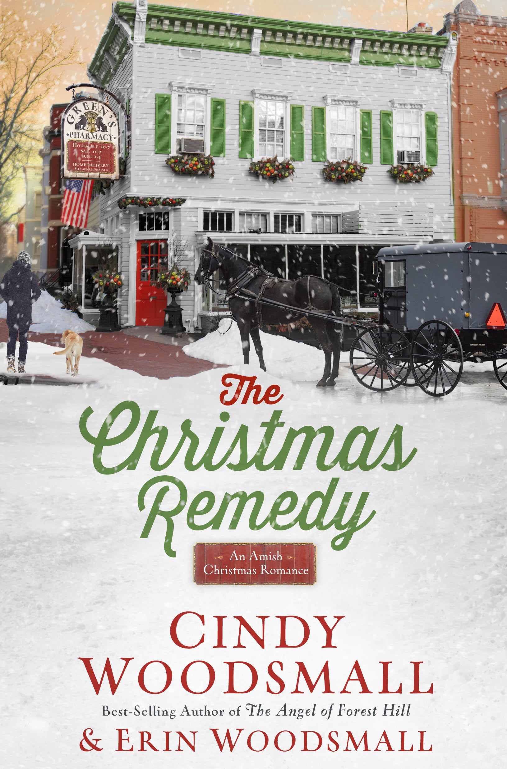 The Christmas Remedy: An Amish Christmas Romance