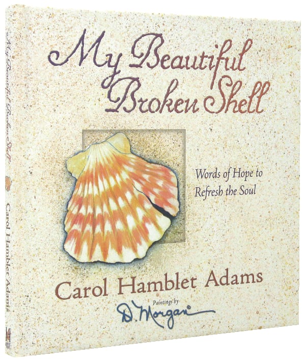 My Beautiful Broken Shell