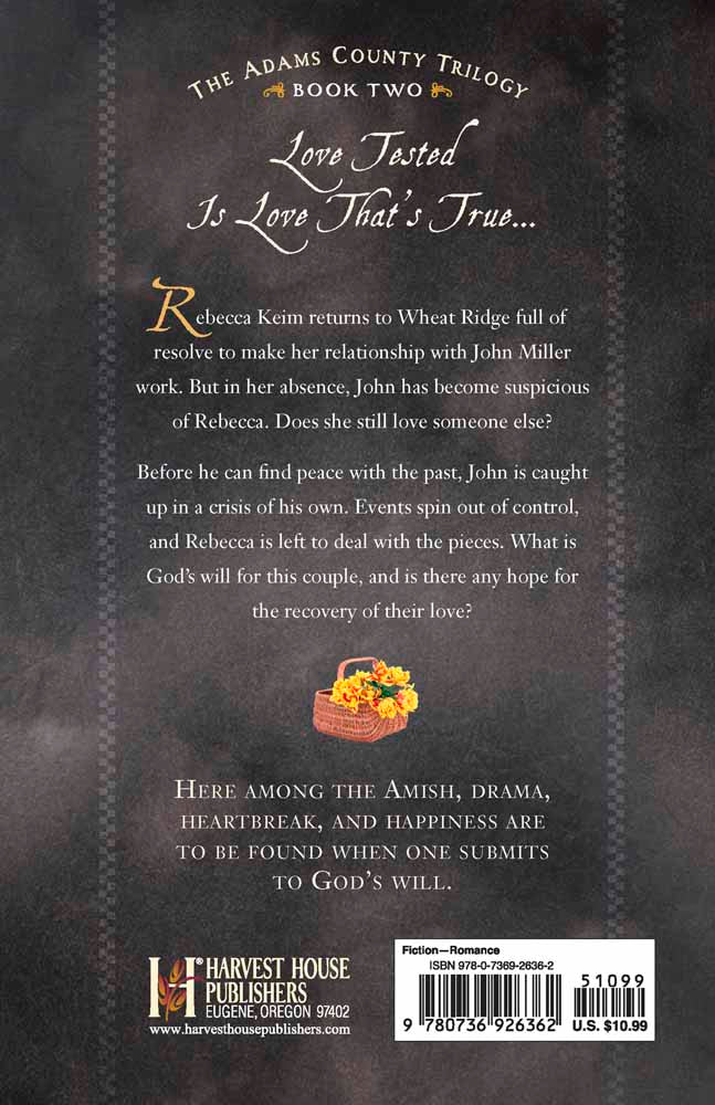 Rebecca's Return (#02 in Adams County Trilogy Series)