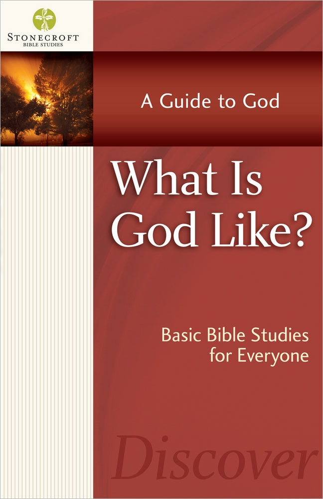Stonecroft: What is God Like? (Stonecroft Bible Studies Series)