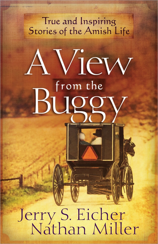 A View From the Buggy