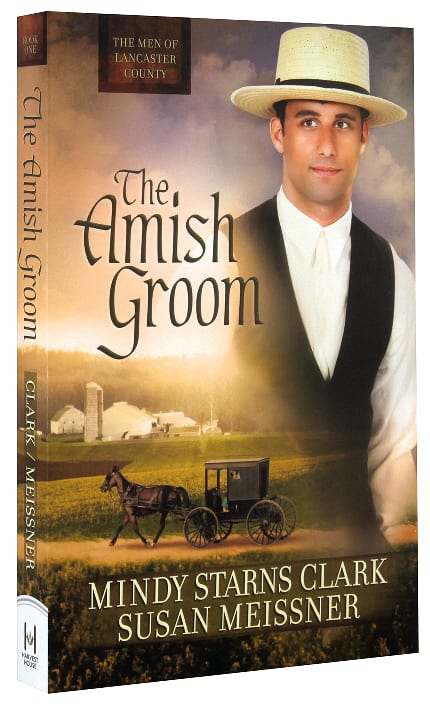 The Amish Groom (#01 in Men Of Lancaster County Series)