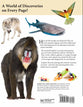 Guide to God's Animals