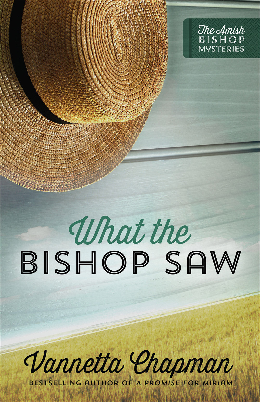 What the Bishop Saw (#01 in Amish Bishop Mysteries Series)